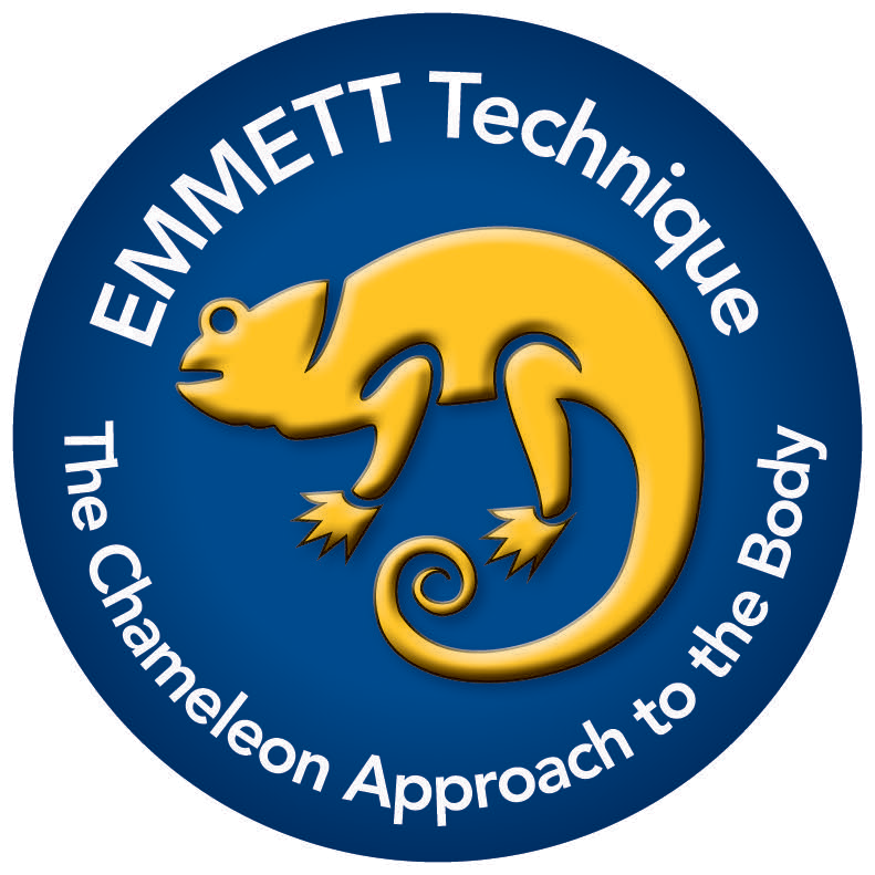 Practitioner & Emmett Professional - EMMETT Technique